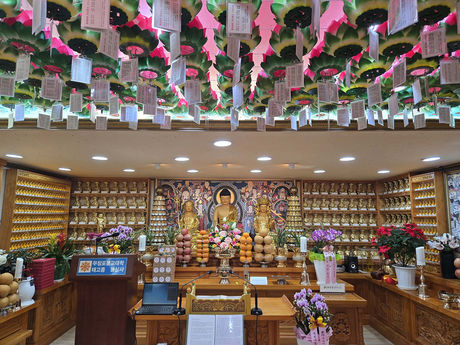 ����ũ��� ����