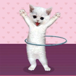 ũ 