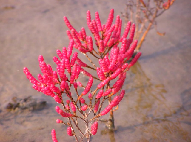 ½ÇÁ¦Å©±â·Î º¸±â