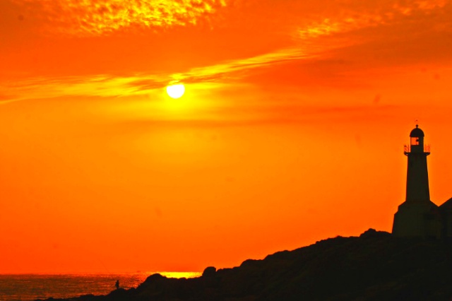 ½ÇÁ¦Å©±â·Î º¸±â