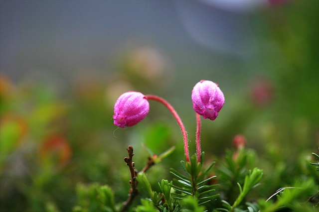 ½ÇÁ¦Å©±â·Î º¸±â