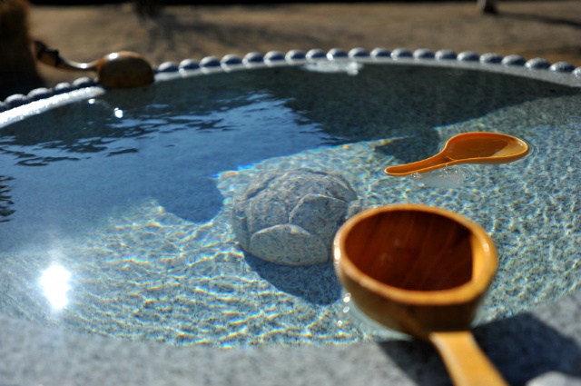 ½ÇÁ¦Å©±â·Î º¸±â