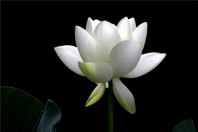 ½ÇÁ¦Å©±â·Î º¸±â