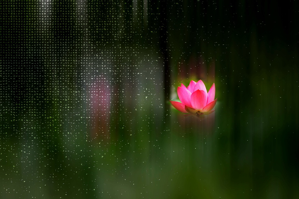 ũ 