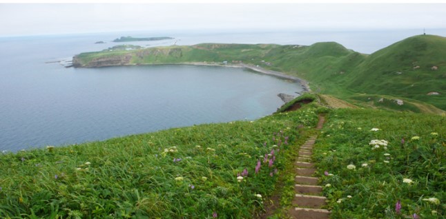 ½ÇÁ¦Å©±â·Î º¸±â