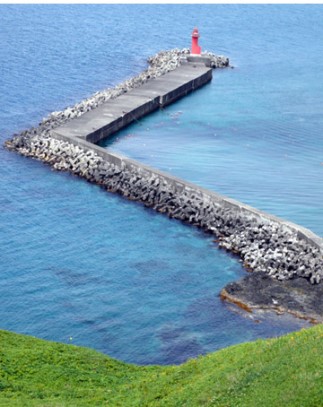 ½ÇÁ¦Å©±â·Î º¸±â