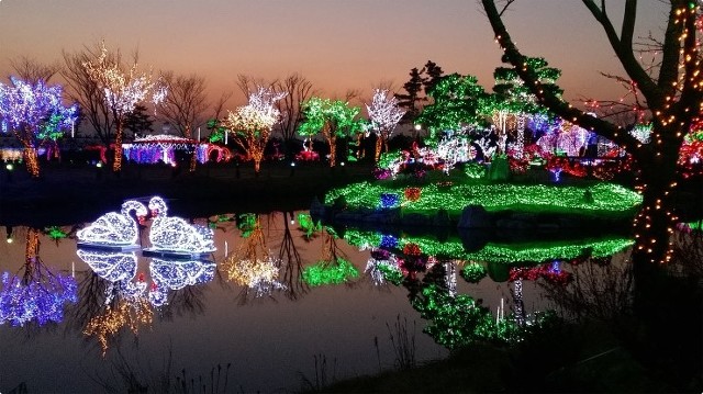 ½ÇÁ¦Å©±â·Î º¸±â