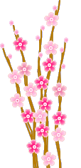 ũ 