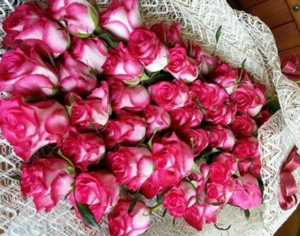 ½ÇÁ¦Å©±â·Î º¸±â