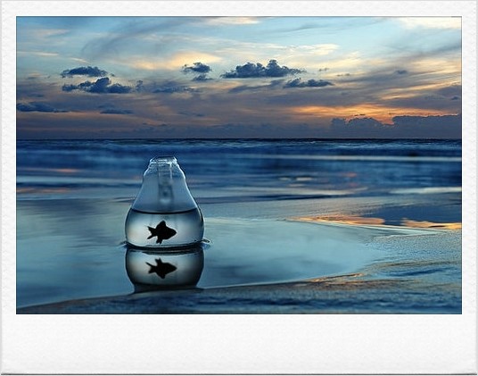 ½ÇÁ¦Å©±â·Î º¸±â