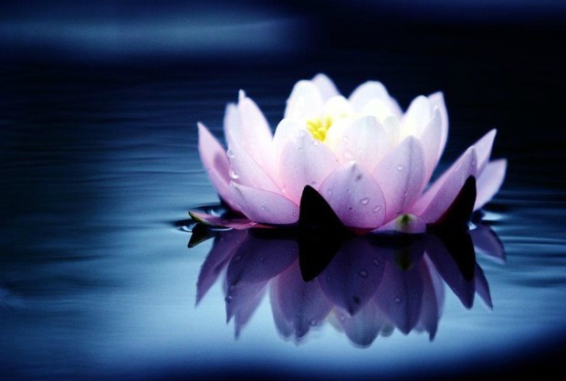 ½ÇÁ¦Å©±â·Î º¸±â