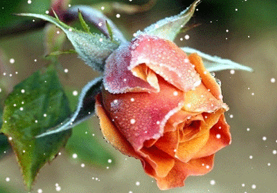 ½ÇÁ¦Å©±â·Î º¸±â