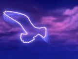 ũ 