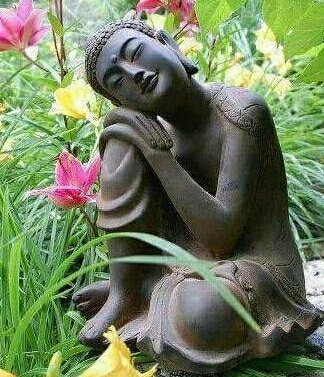 ½ÇÁ¦Å©±â·Î º¸±â