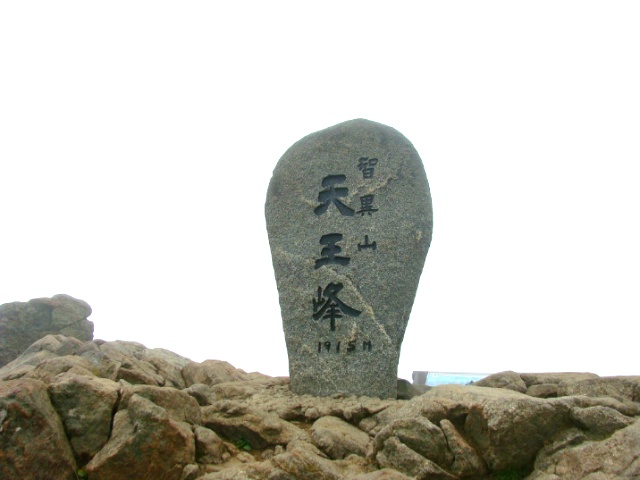 ũ 