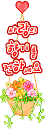 ũ 