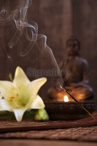 ½ÇÁ¦Å©±â·Î º¸±â