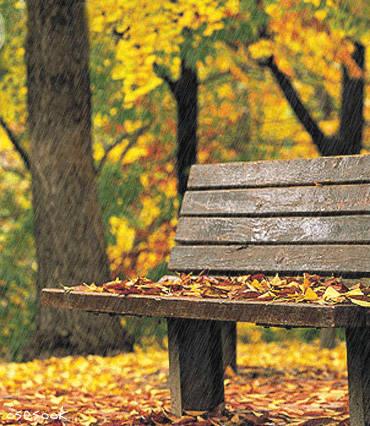 ½ÇÁ¦Å©±â·Î º¸±â