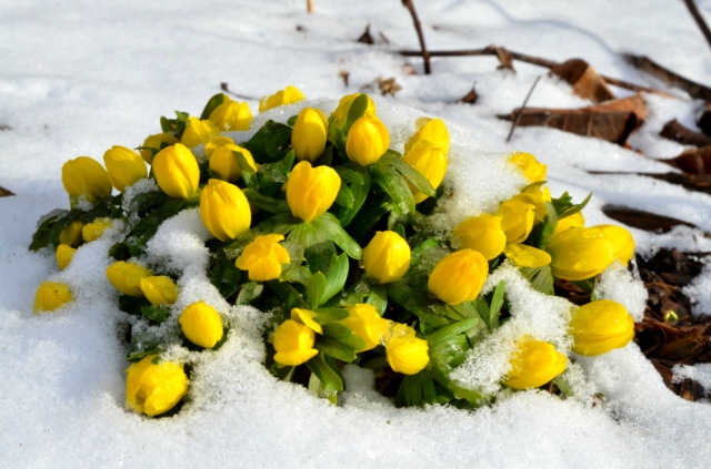 ½ÇÁ¦Å©±â·Î º¸±â