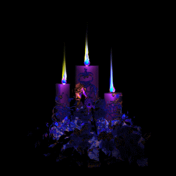 ũ 