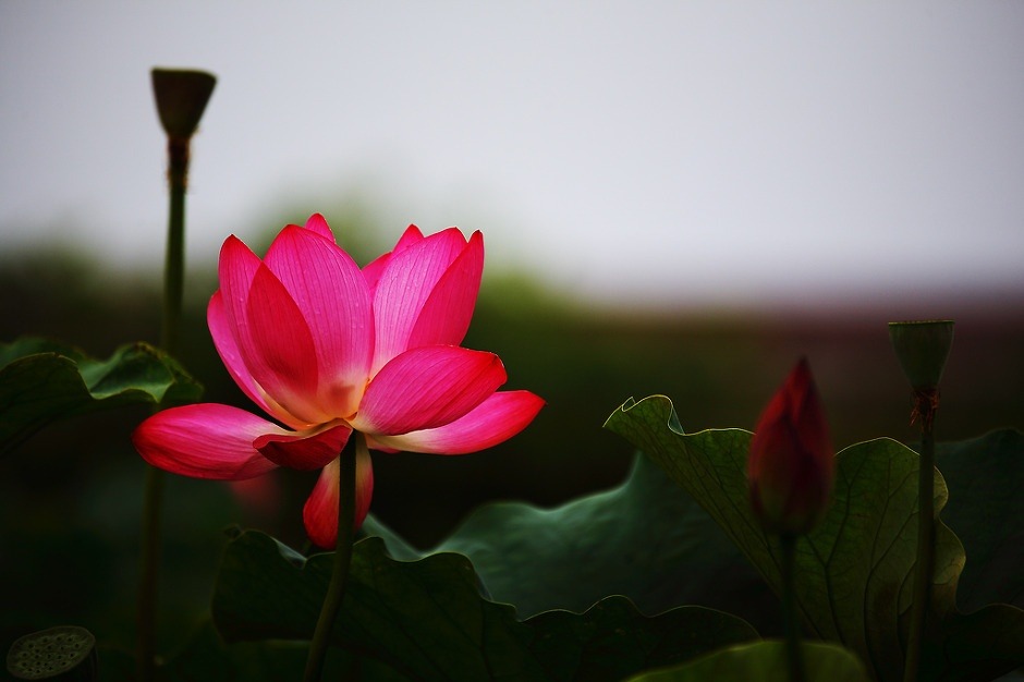 ½ÇÁ¦Å©±â·Î º¸±â