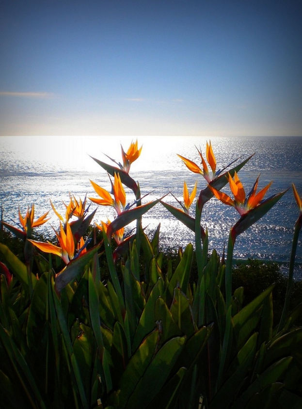 ½ÇÁ¦Å©±â·Î º¸±â