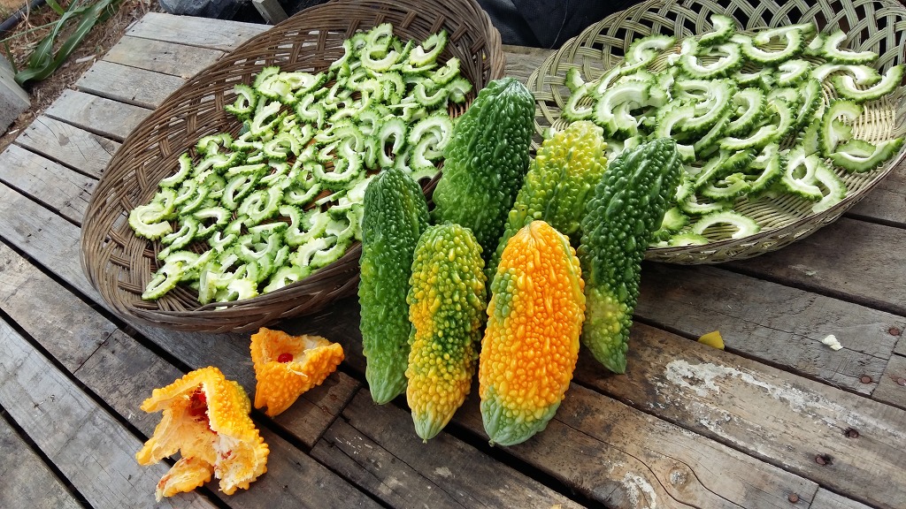 ½ÇÁ¦Å©±â·Î º¸±â