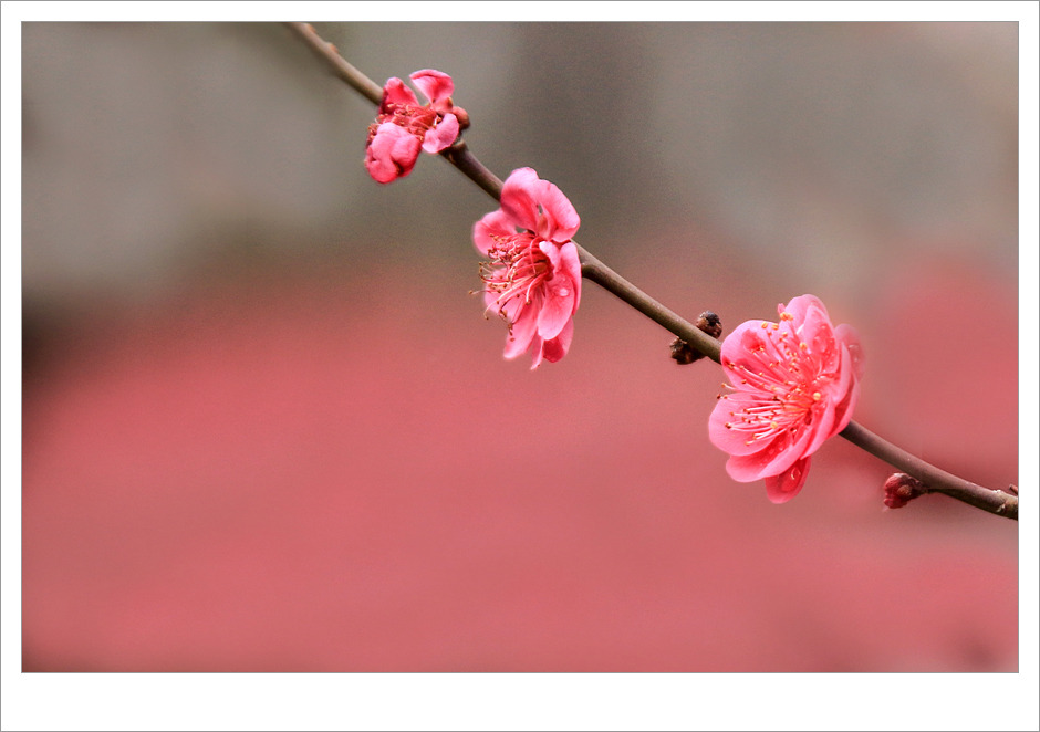 ½ÇÁ¦Å©±â·Î º¸±â