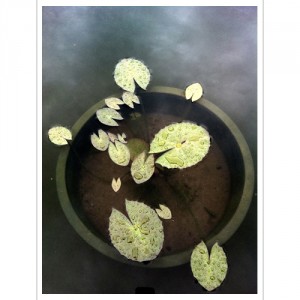 ½ÇÁ¦Å©±â·Î º¸±â