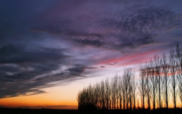 ½ÇÁ¦Å©±â·Î º¸±â