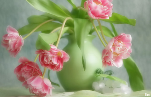ũ 