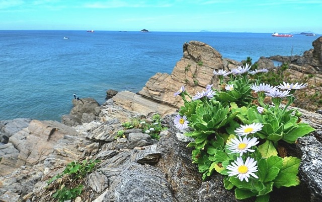 ½ÇÁ¦Å©±â·Î º¸±â