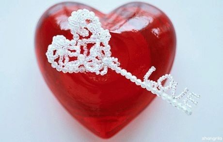 ½ÇÁ¦Å©±â·Î º¸±â