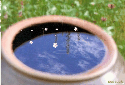ũ 