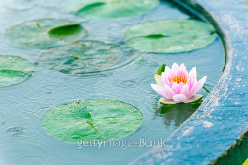 ½ÇÁ¦Å©±â·Î º¸±â