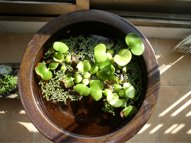 ½ÇÁ¦Å©±â·Î º¸±â