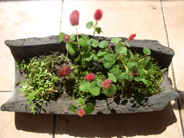 ½ÇÁ¦Å©±â·Î º¸±â