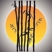 ½ÇÁ¦Å©±â·Î º¸±â