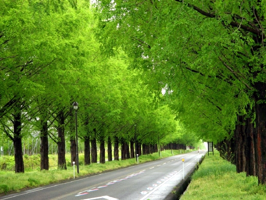 ½ÇÁ¦Å©±â·Î º¸±â