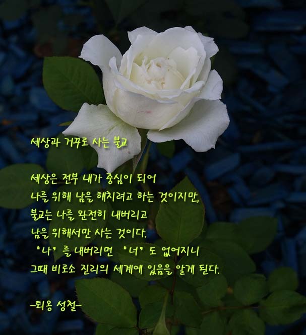 ½ÇÁ¦Å©±â·Î º¸±â