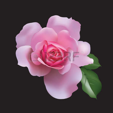 ½ÇÁ¦Å©±â·Î º¸±â