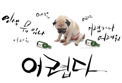 ũ 