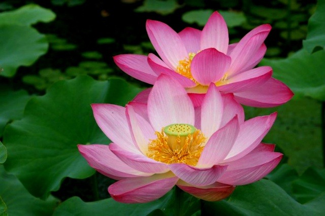 ½ÇÁ¦Å©±â·Î º¸±â