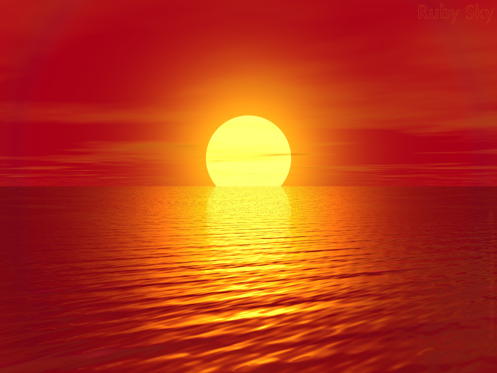 ũ 