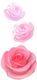 ũ 