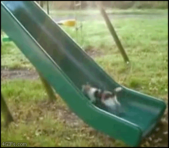ũ 