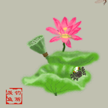 ũ 