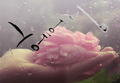 ũ 