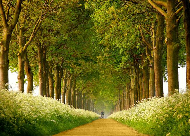 ½ÇÁ¦Å©±â·Î º¸±â