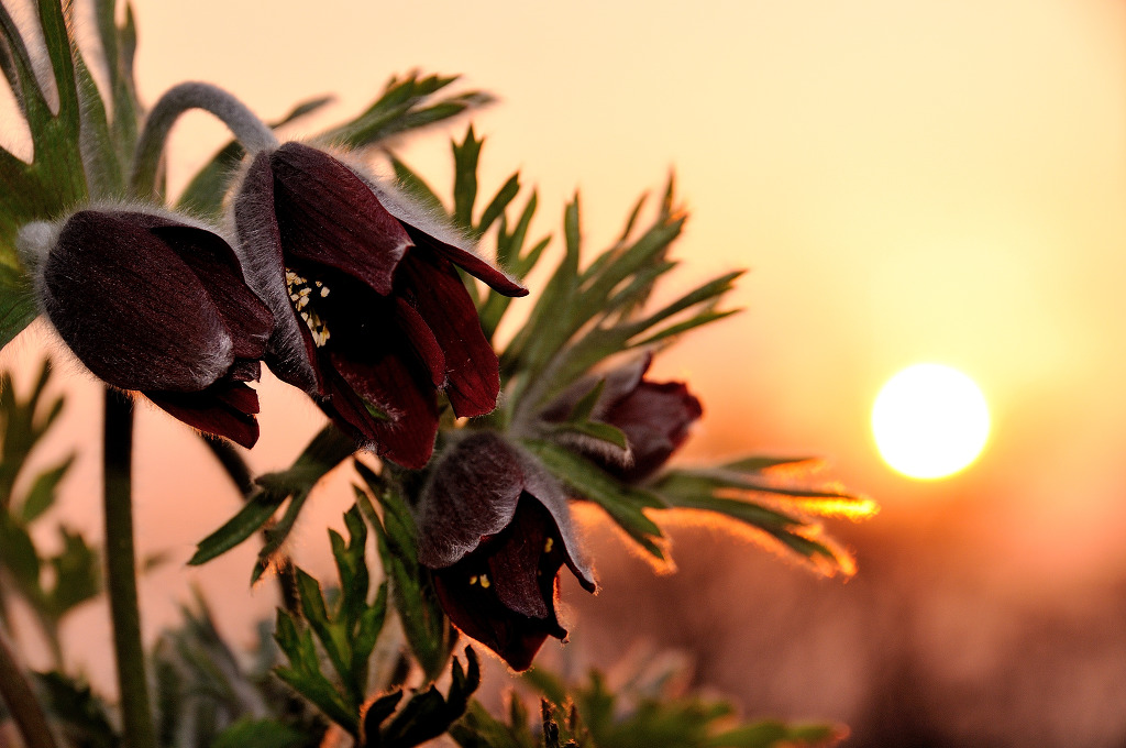 ½ÇÁ¦Å©±â·Î º¸±â